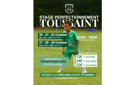 STAGE PERFECTIONNEMENT - TOUSSAINT